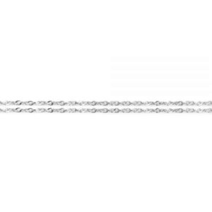 Assieraad collier zilver