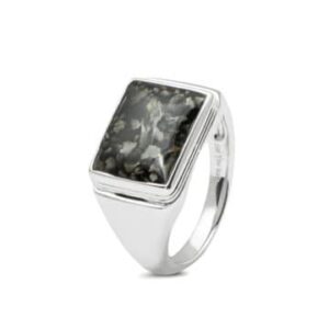 Assieraad ring zilver