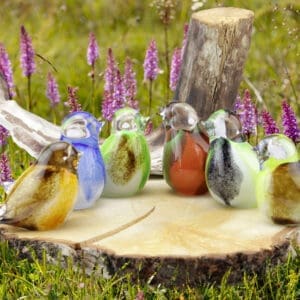 Urn vogel glas