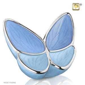 Urn blauw vlinder