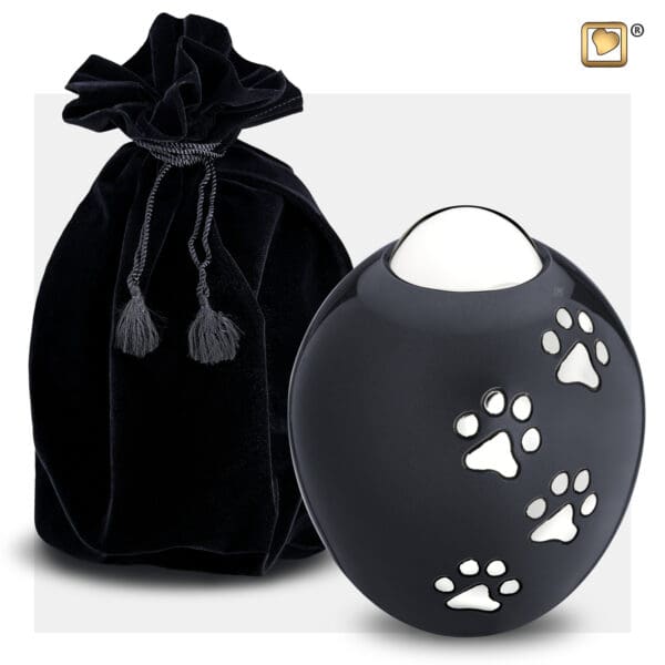 P636S Adore urn groot