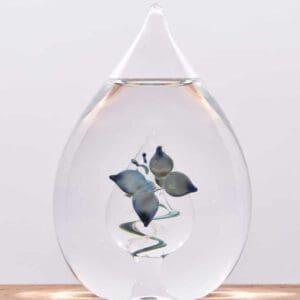 Glazen urn druppel vlinder crematie as