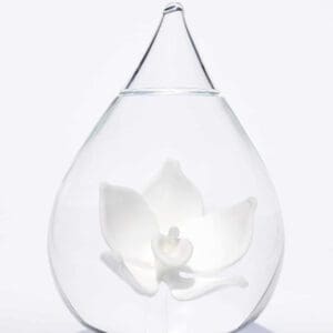 Glazen urn lotusbloem crematie as