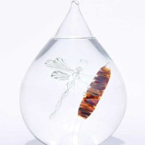 Glazen urn libelle crematie as