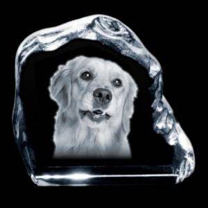 Foto huisdier in kristalglas Dieren