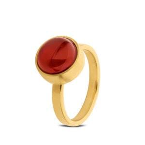 Tadblu gouden asring met edelsteen