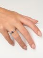 Asring Birthstone februari Amethist - Afbeelding 3