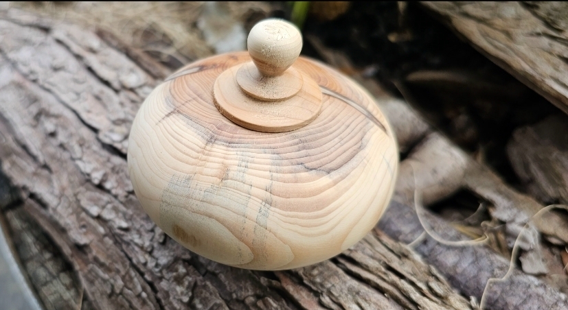 Screenshot_20250731_181926_Gallery