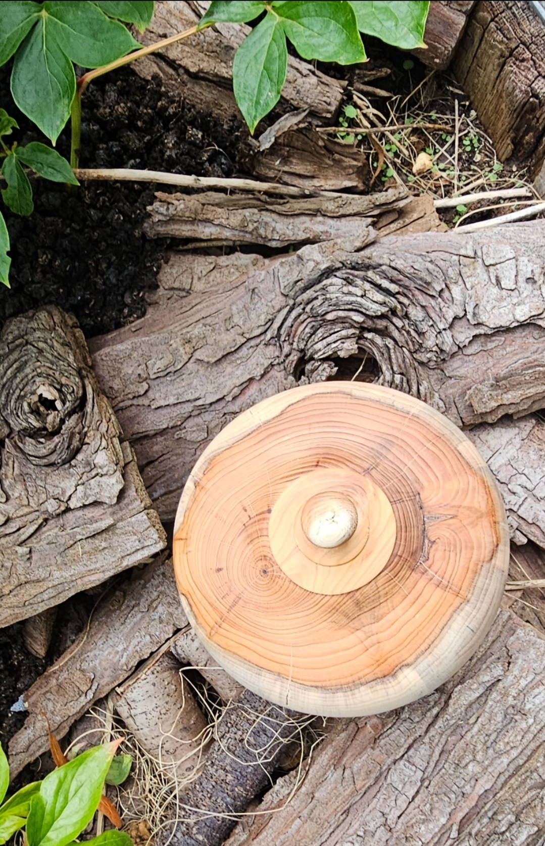 Screenshot_20250731_190623_Gallery