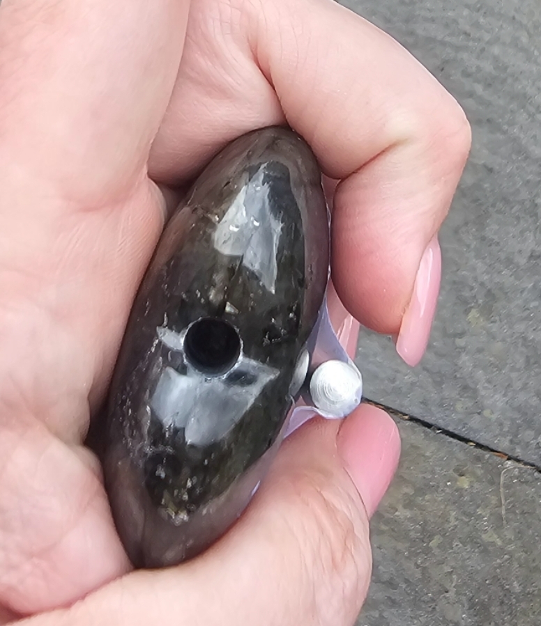 Screenshot_20250731_192700_Gallery